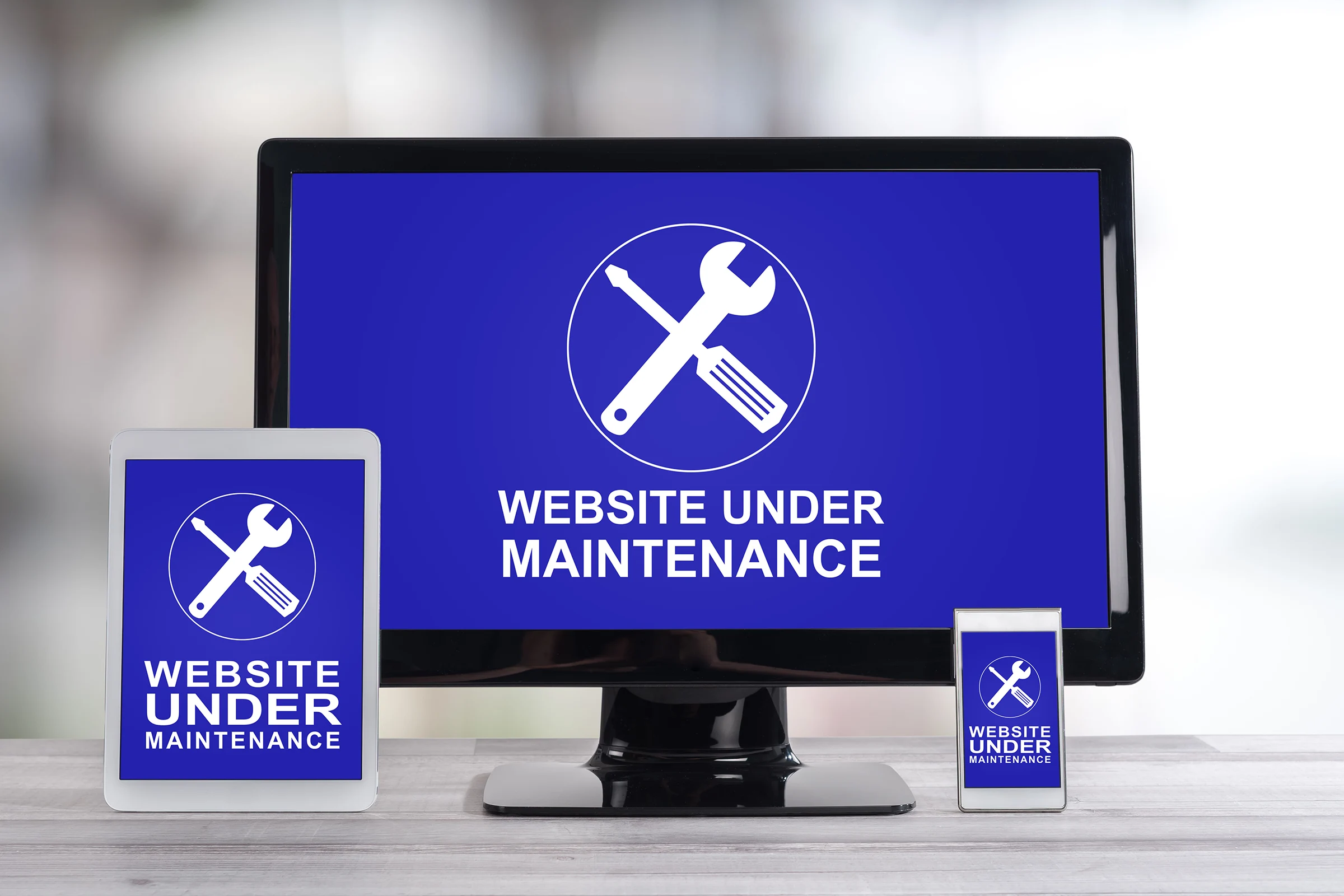 Website maintenance specialist monitoring security, updates and site health